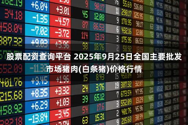 股票配资查询平台 2025年9月25日全国主要批发市场猪肉(白条猪)价格行情